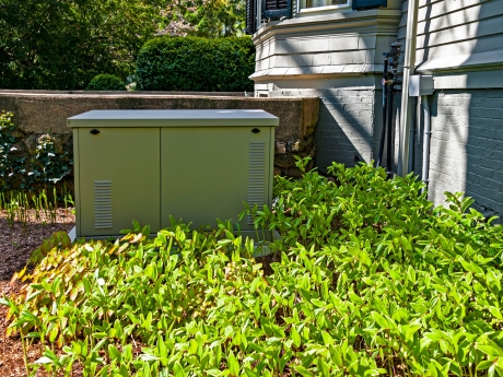 residential home standby generator on concrete slab with green leafed plant in front